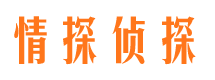 江岸侦探